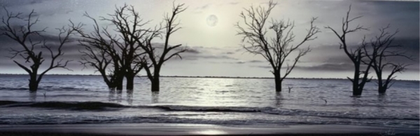 FULL MOON RISING   MENINDEE LAKES  CANVAS LITHOGRAPH 900mm X 300mm